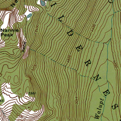 Western Michigan University WA-Walupt Lake: Authoritative US Topos 1970 digital map