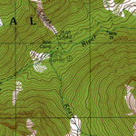 Western Michigan University WA-Wellesley Peak: Authoritative US Topos 1990 digital map