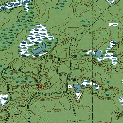 Western Michigan University WI-MI-Tenderfoot Lake: Authoritative US Topos 1999 digital map